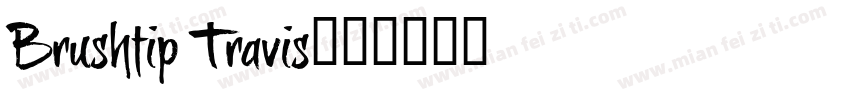 Brushtip Travis字体转换